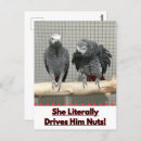 Zoek naar afrikaans briefkaarten Papegaai