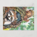 Recherche de raccoon cartes postales Animal