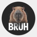 Zoek naar capybara stickers Grappig