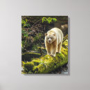 Recherche de ours blanc toiles Cathy