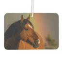 Recherche de de cheval voiture accessoires Arc en ciel