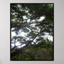 Recherche de détendez art Arbres