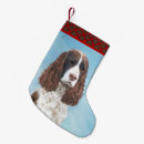 Recherche de espagnol chaussette de noël Dog