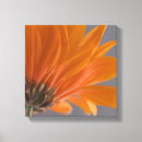 Recherche de gerber impressions sur toile Floral