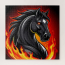 Recherche de cheval noir puzzles Illustration