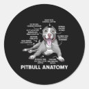 Zoek naar anatomie stickers Hond