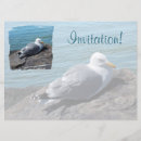 Recherche de oiseaux 16x22 invitations Goélands
