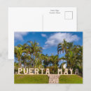 Recherche de insulaire cartes postales Palmiers