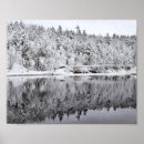 Recherche de forêt noire posters Neige