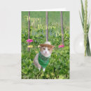 Zoek naar tuinman kaarten Grappig