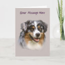 Recherche de berger australien vœux cartes Australishepherd