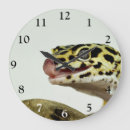 Recherche de geckos horloges Faune