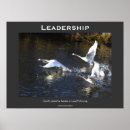 Recherche de le cygne posters Cygnes