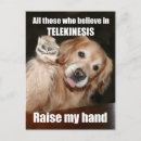 Zoek naar joke briefkaarten Meme
