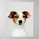 Recherche de jack russell posters Mignon