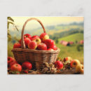 Recherche de corbeille de fruits cartes postales Pommes