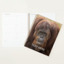 Recherche de singe bureau fournitures Orangs outans