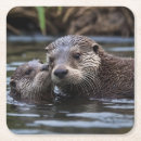 Zoek naar otter bar drinkwaren Dier