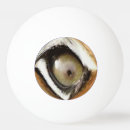 Recherche de oeil de tigre Pour tous