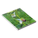 Recherche de orchidée blocsnotes Fleur