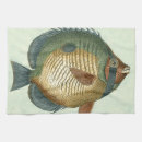 Recherche de poissons cuisine linges Animal