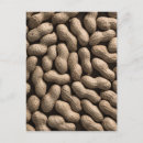 Recherche de légumineuse cartes postales Nourriture