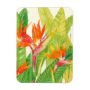 Recherche de oiseau magnets Oiseau de paradis