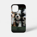 Recherche de spécial coques Mignon