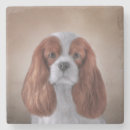Zoek naar cavalier king charles spaniel onderzetters Hond