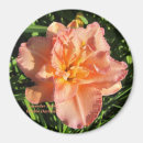 Recherche de dessous de verre magnets Nature