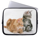 Recherche de minou coques Animal familier
