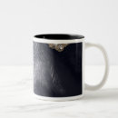 Recherche de satellite tasses Nuages