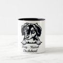 Recherche de poil tasses Dachshund