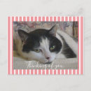 Recherche de animal noir et blanc cartes postales Amusant