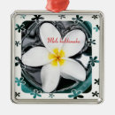 Recherche de plumeria ornements Île