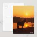 Recherche de montagnes rocheuses cartes postales Montagne rocheuse
