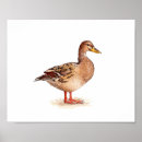 Zoek naar vrouwelijke posters Vogel
