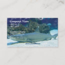 Recherche de requin cartes visite Grand requin blanc
