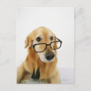 Recherche de cha cartes postales Animaux domestiques