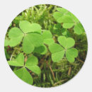 Zoek naar natuur landschappen stickers Planten