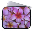 Recherche de hawaï coques Flore