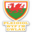 Recherche de cymru autocollants Celtique