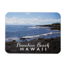 Recherche de hawaï magnets Tropical