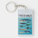 Recherche de baleines porteclés Mammifères marins