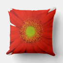 Zoek naar gerbera kussens Dagbladen