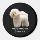 Recherche de bichon magnets Frise de bichon