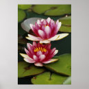 Recherche de nympheas posters Fleur