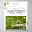 Zoek naar witte herder posters Foto