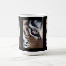 Recherche de chat tigré orange tasses Animal