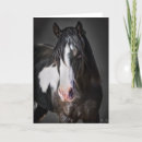 Recherche de portrait de cheval vœux cartes Couleur